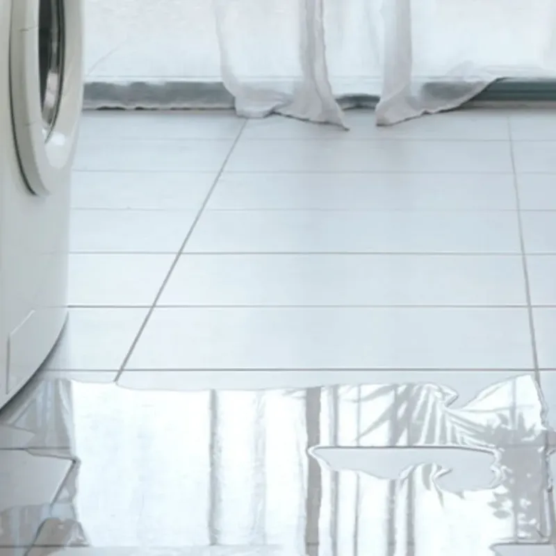 Appliance Leak Cleanup in Vermilion County, IL