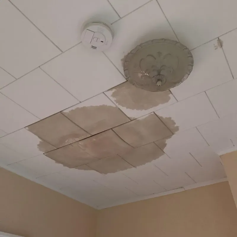 Ceiling Water Damage Repair in Vermilion County, IL