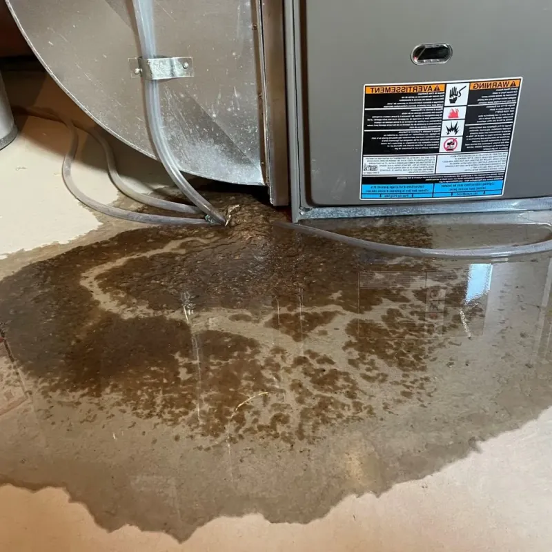 Pipe Burst and Leak Restoration in Vermilion County, IL