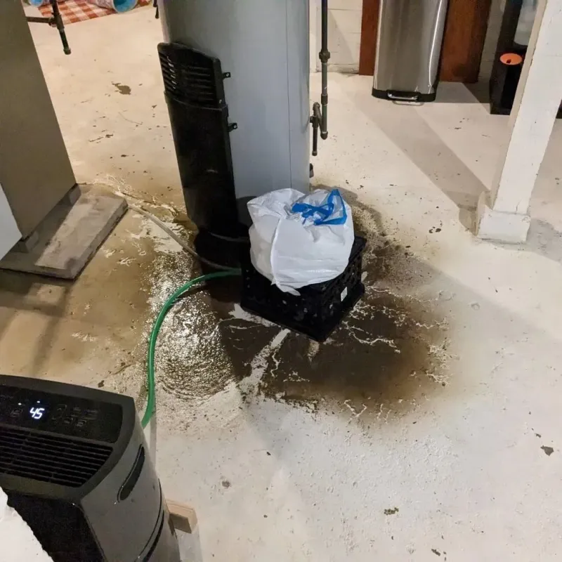 Sewage Backup Cleanup Service in Vermilion County, IL